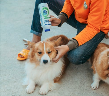 피부관리 관련 사진