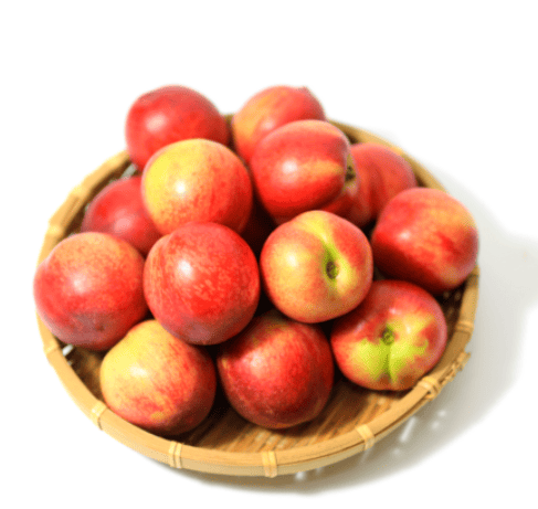 신비복숭아 추천 순위 TOP 5(25년 6월) - 네이버, 쿠팡 인기 판매 랭킹 비교