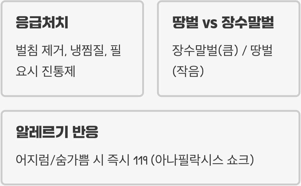 땅벌에 쏘이면 얼마나 아플까? (고통지수 비교)