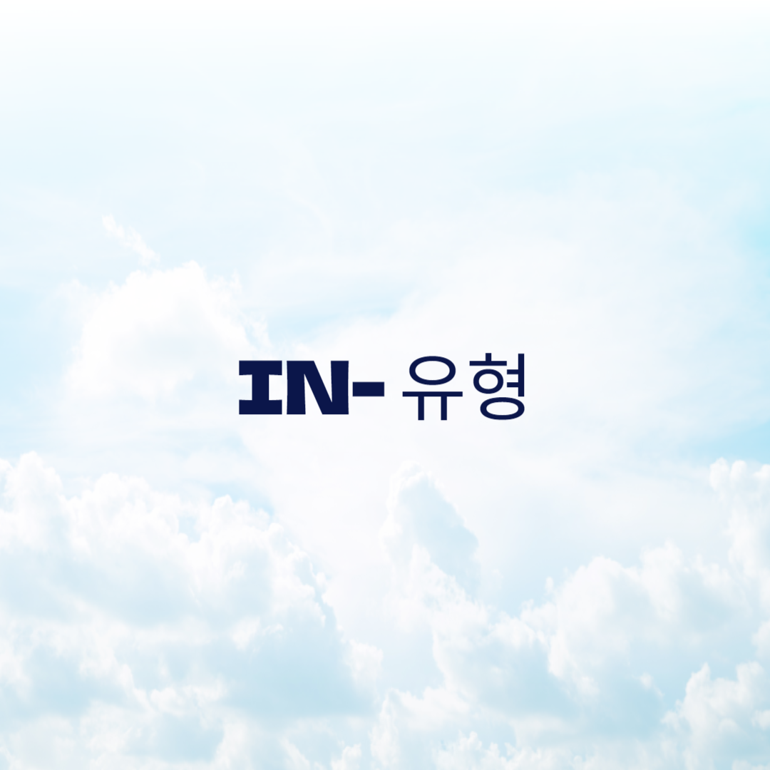 IN 유형