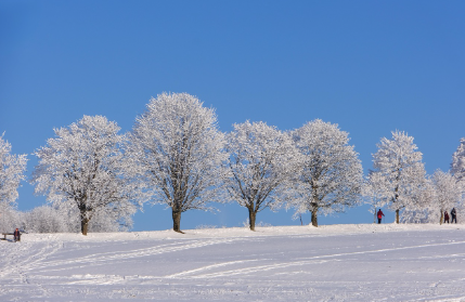 계절별 감정 패턴 관찰