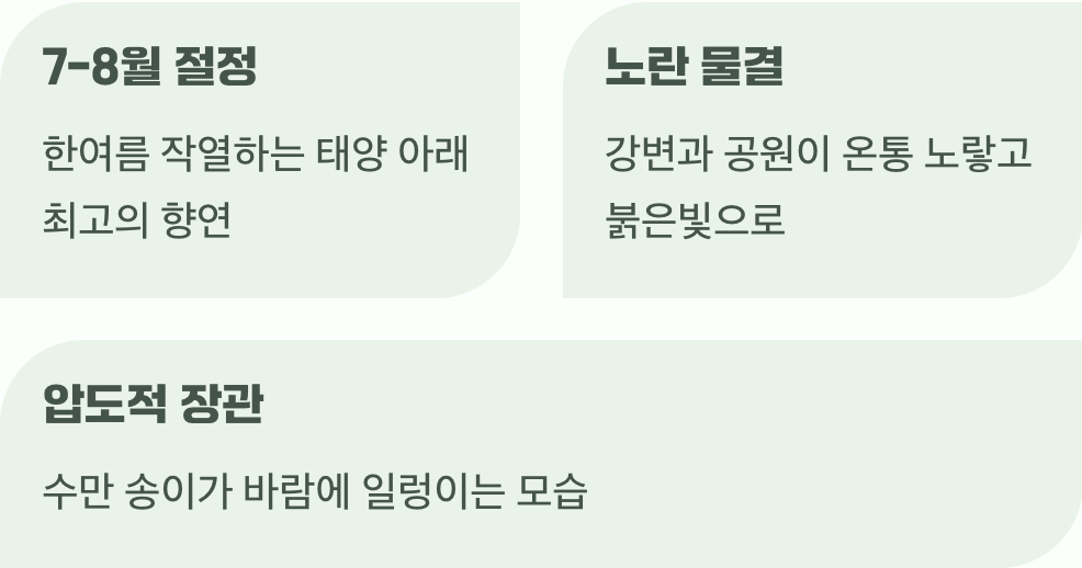 가장 뜨거울 때, 가장 화려하게