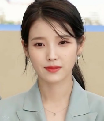 아이유 악플러 고소