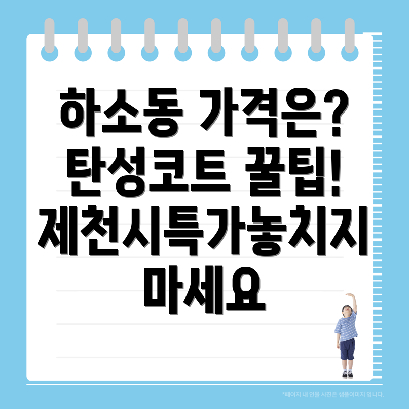 탄성코트
