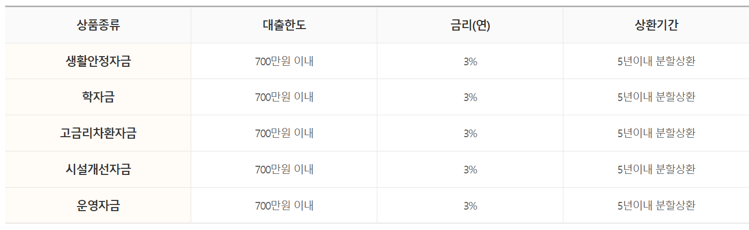 개인회생 성실상환자 대출한도