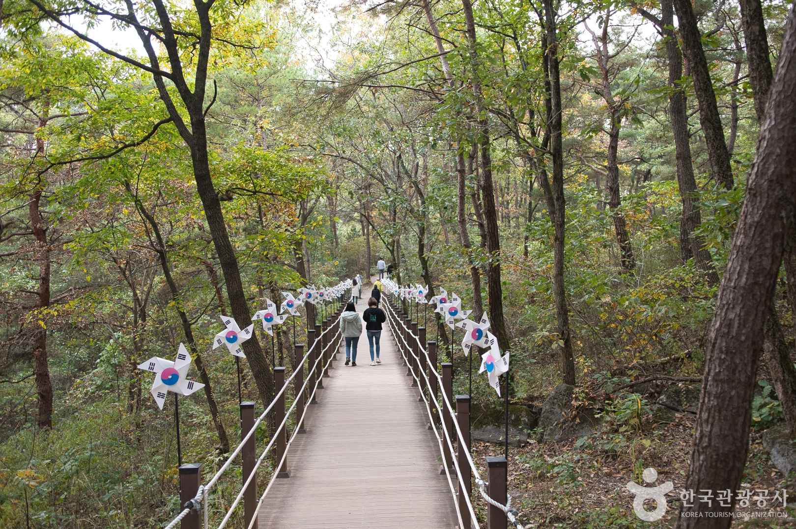 백두대간 트레킹 코스
