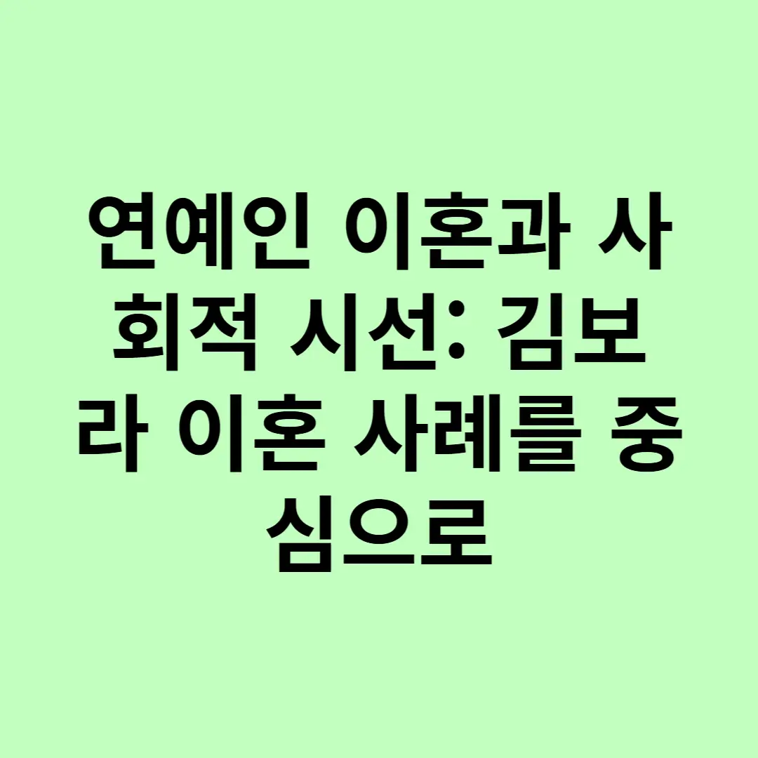 연예인 이혼과 사회적 시선 김보라 이혼 사례를 중심으로