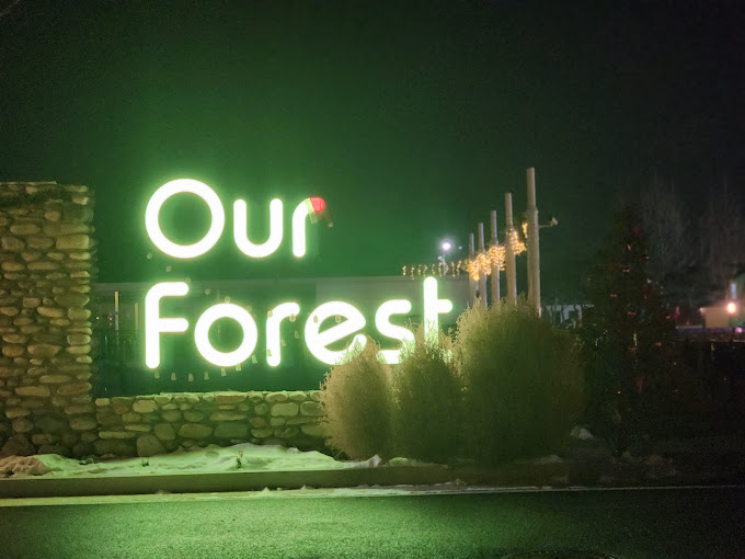 가평 반려견 캠핑장 '아워포레스트' 미리보기