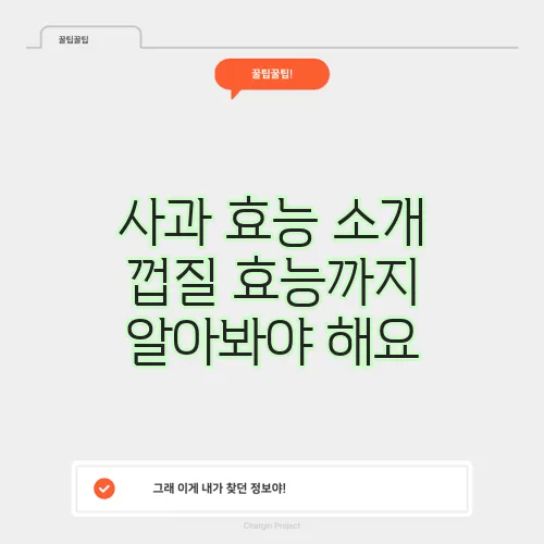 사과 효능 소개 껍질 효능까지 알아봐야 해요