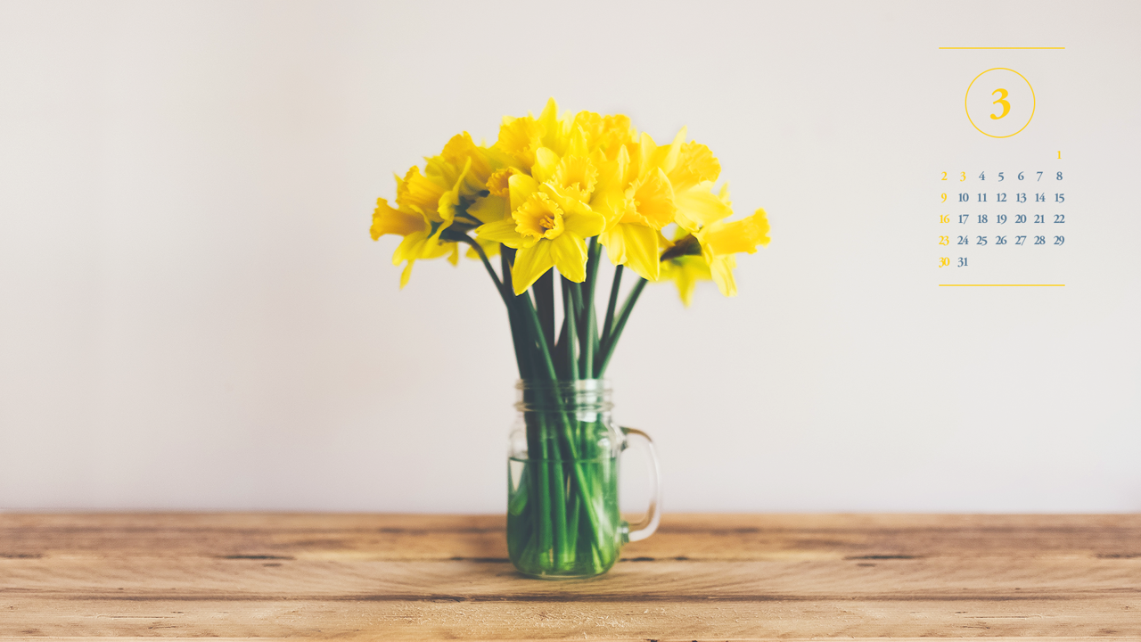 01 탁자 위 노란색 수선화 A - 2025년3월 노트북배경화면