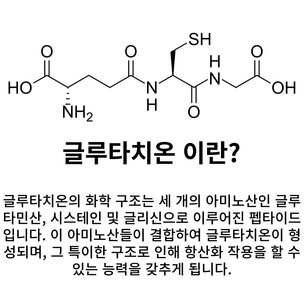 글루타치온 이란?