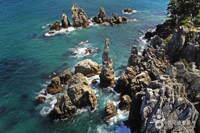 cd01b51c-9cea-482f-8606-d3106e765b13 (1)