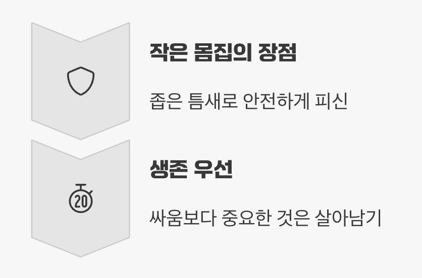 최고의 전략&amp;#44; &amp;#39;버티고 숨기&amp;#39;