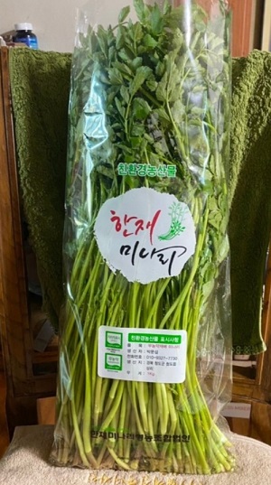 청도미나리-6시내고향