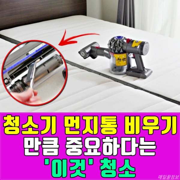 다이슨 청소기 먼지통 비우기 헤드 청소