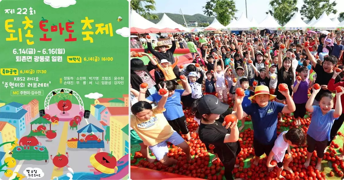 퇴촌 토마토축제