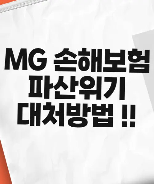 MG손보