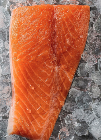 관절에 좋은 연어