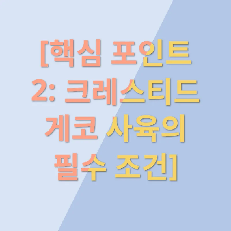 크레스티드 게코 사육_2