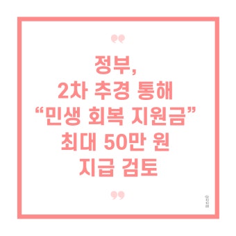 25만원 지원금 사용처 (2)