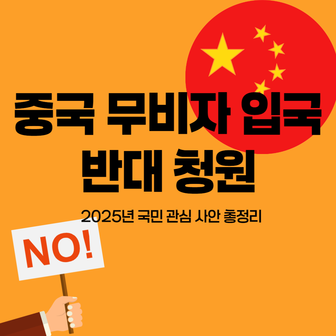 중국 무비자 입국 반대 청원