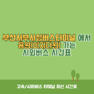 부산서부사상버스터미널에서 용원(이지더원) 가는 시외버스 시간표 최신정보