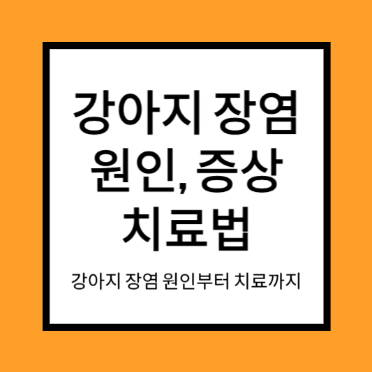 강아지 장염