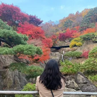 화담숲 예약하기 예약 방법 입장료 모노레일_20