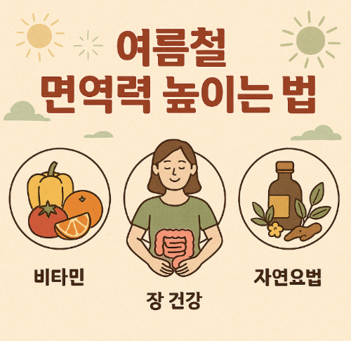 여름철 면역력 높이는 법 (비타민, 장건강, 자연요법)