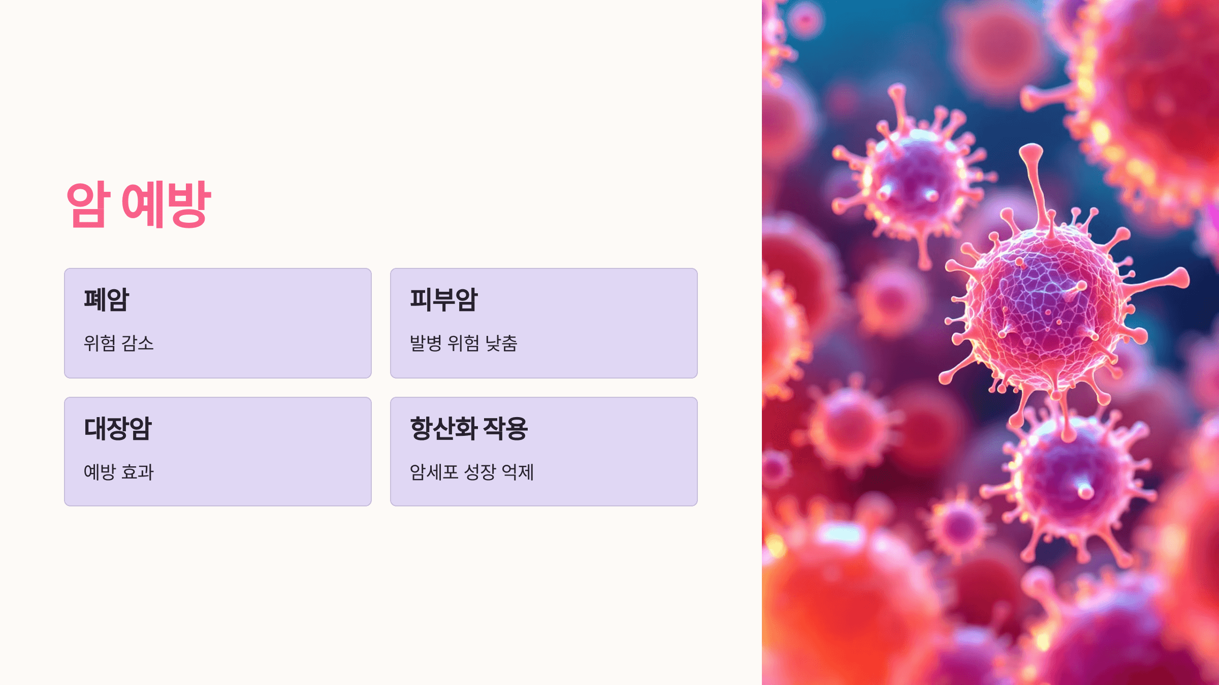 베타카로틴과 관련된 사진입니다.