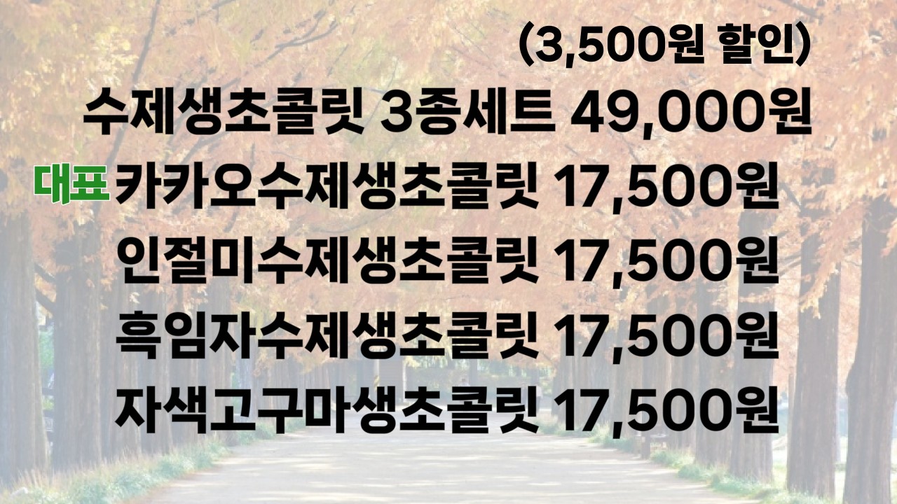 원조 해풍쑥수제생초콜릿 쓖 가격표