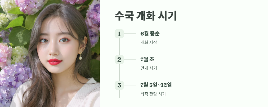 태종대 수국축제 완전 꿀팁 3