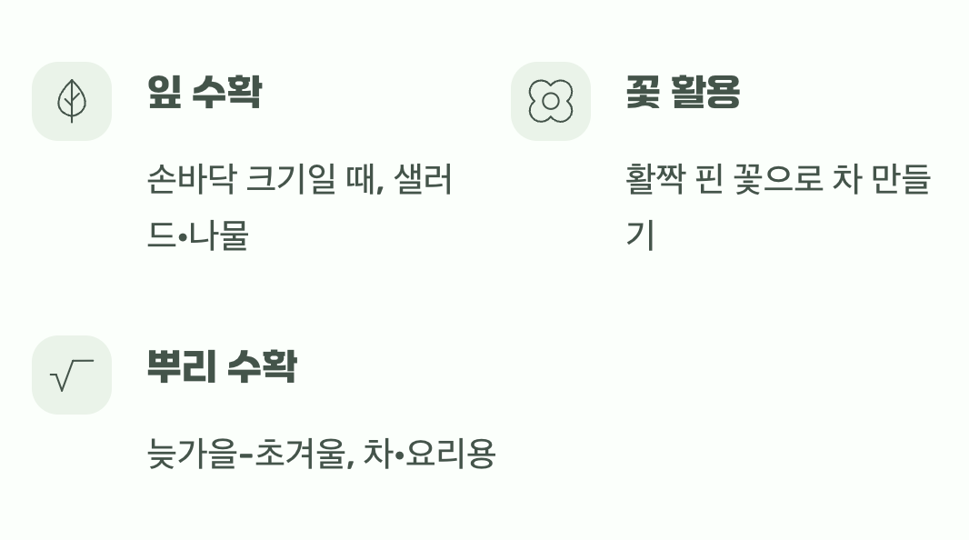 수확의 기쁨, 잎부터 뿌리까지