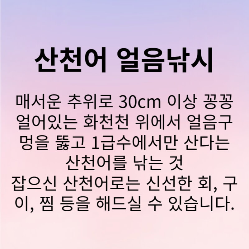 화천 산천어축제