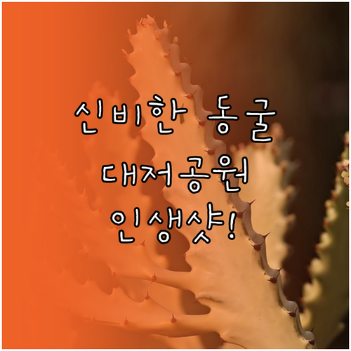 가덕도 대항항 포진지 동굴과 대저생태..