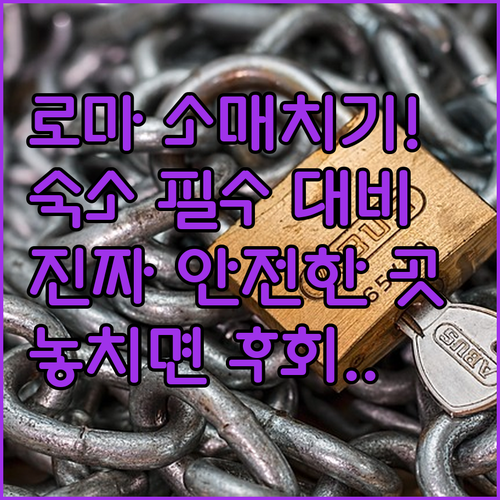 로마 비토리오 에마누엘레역 소매치기 ..