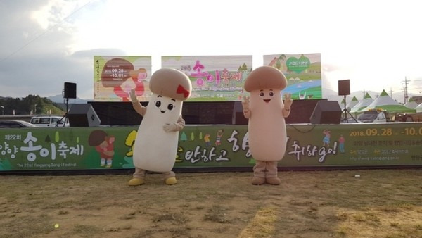 양양 송이버섯축제 교통편 &amp; 접근성