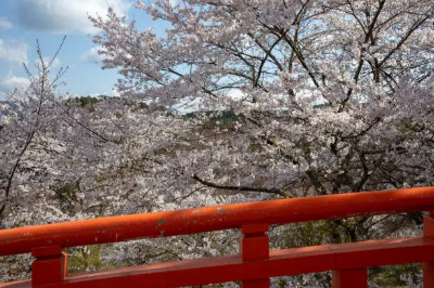 5월-꽃구경-명소