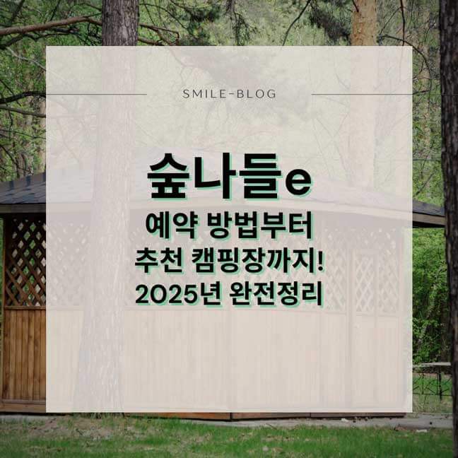 숲나들e 예약 방법부터 추천 캠핑장까지! 2025년 완전정리