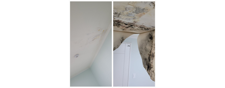 서울 노원구 도배공사