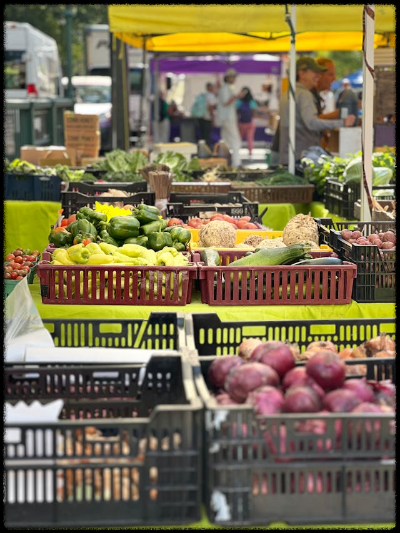 합리적인 소비자는 없다? 소비자 심리 경제학 : 지갑을 여는 5가지 심리적 함정