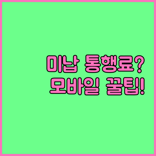 한국도로공사 하이패스 미납 통행료 모..