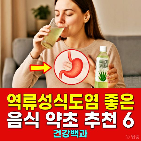 역류성식도염에 좋은 음식 약초 추천