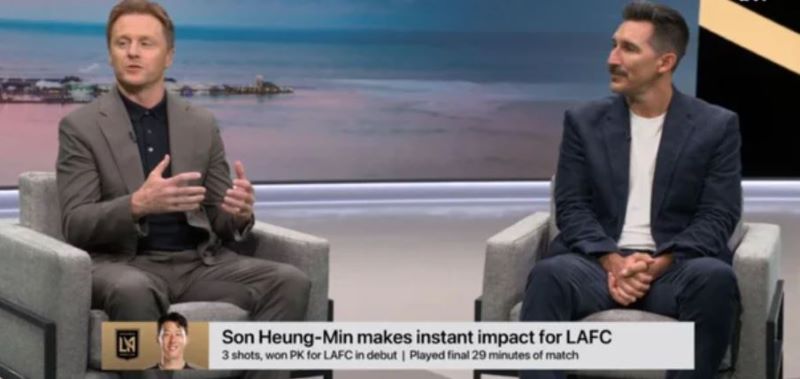 현지 해설, 전문가 반응