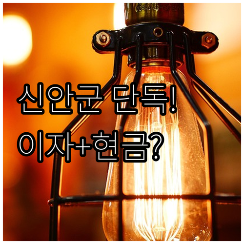 신안군 2025 전기차 이자 지원 조..