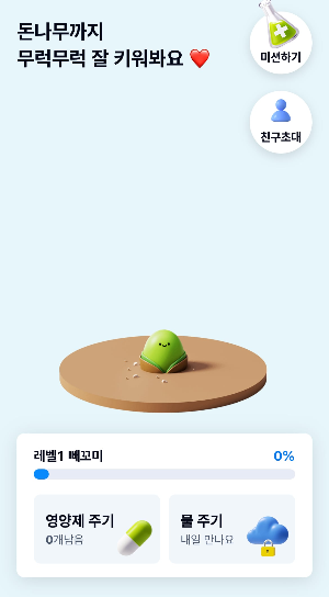 돈나무 키우기