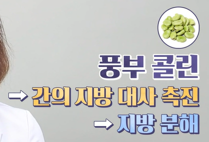 자이언트 파바빈