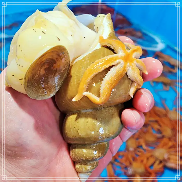 경북 포항 맛집 전국 택배 주문 제철 해산물