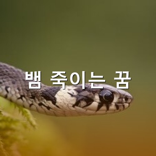 검은색과-흰색이-알록달록한-뱀이-눈을-크게뜨고-있는-모습