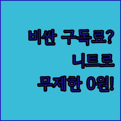 비싼 구독료 걱정 없이 디스코드 니트..
